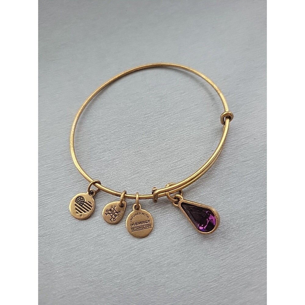 Alex And Ani Swarovski Teardrop Amethyst February Birthstone Bracelet Goldtone